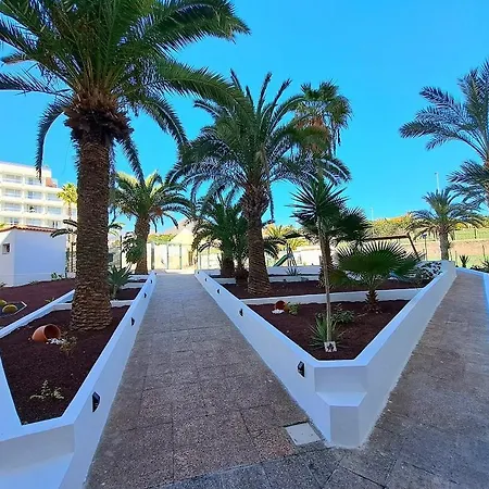 Ocean View Penthouse Appartement